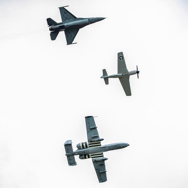  - Warbird