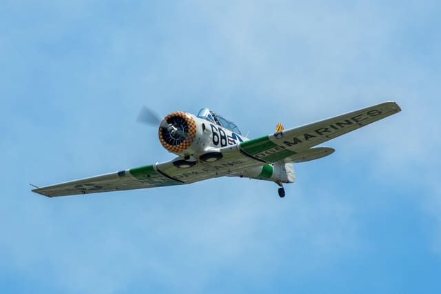 N4983N - Single-engine aircraft