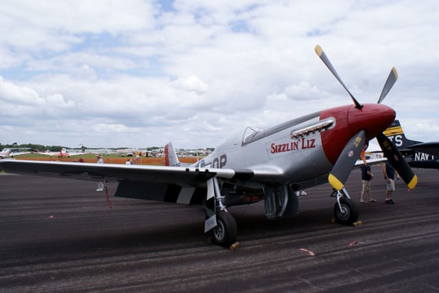  - Warbird