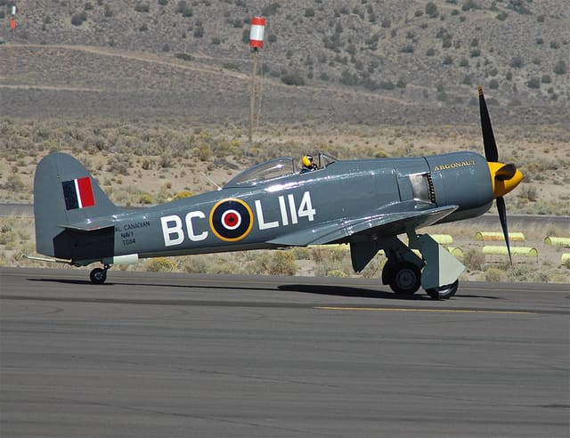  - Warbird