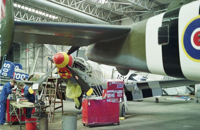 N88972 - Warbird