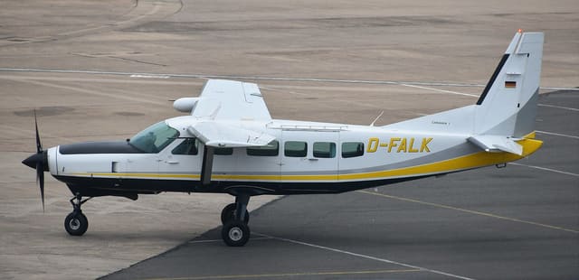 D-FALK - Single-engine aircraft