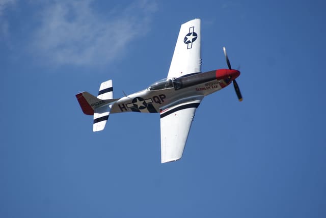  - Warbird
