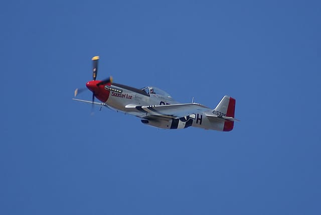  - Warbird
