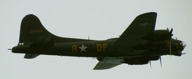  - Warbird
