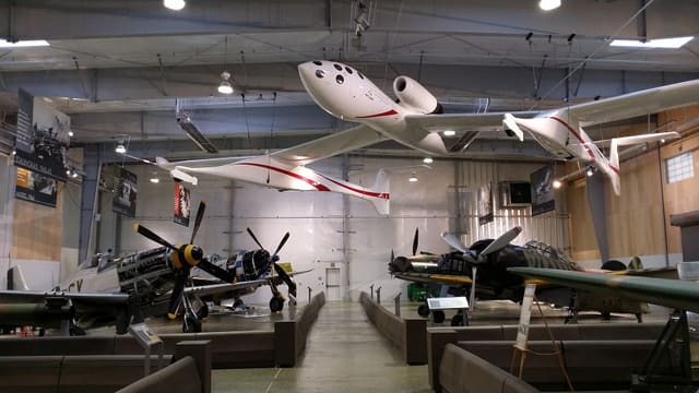  - Warbird