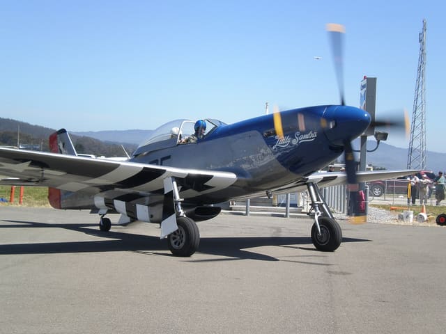  - Warbird