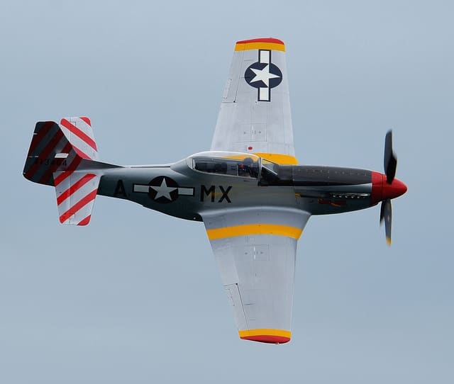 - Warbird