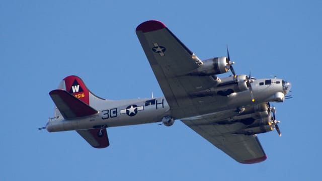  - Warbird