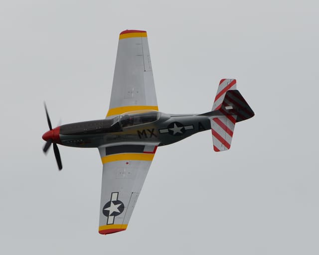  — Warbird
