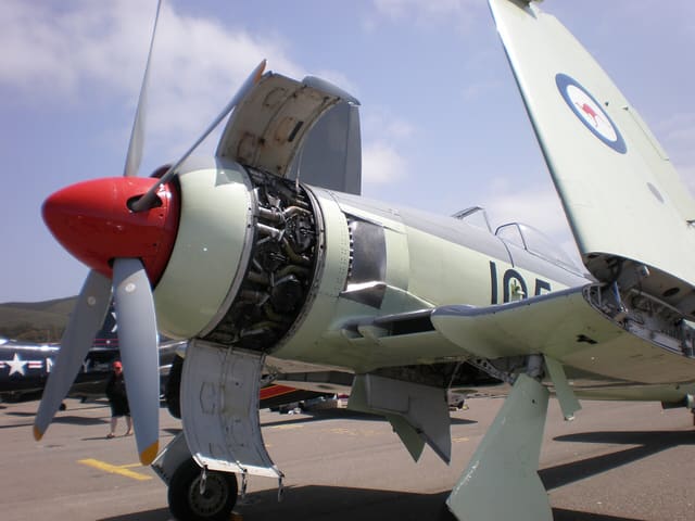  - Warbird