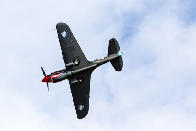  - Warbird
