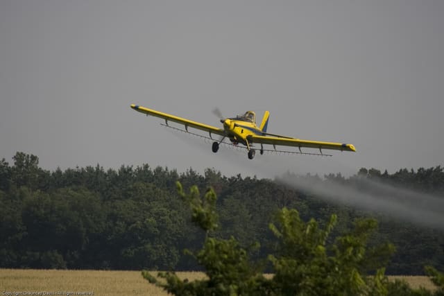 N1531G - Single-engine aircraft