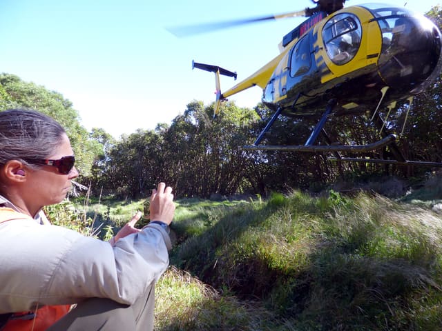 N811WA - Helicopter