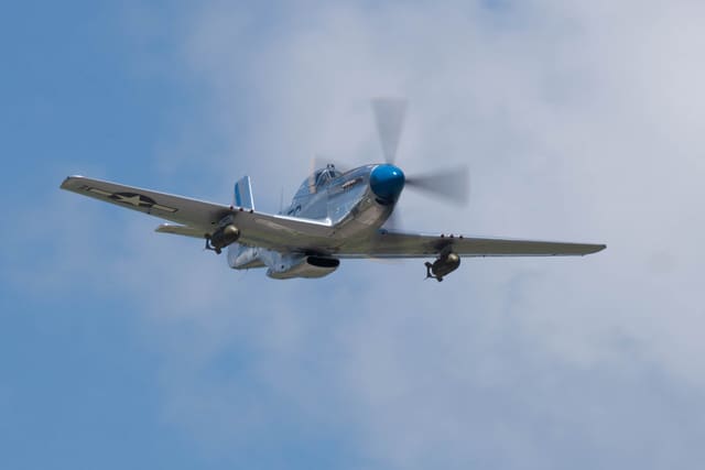 N1751D - Warbird