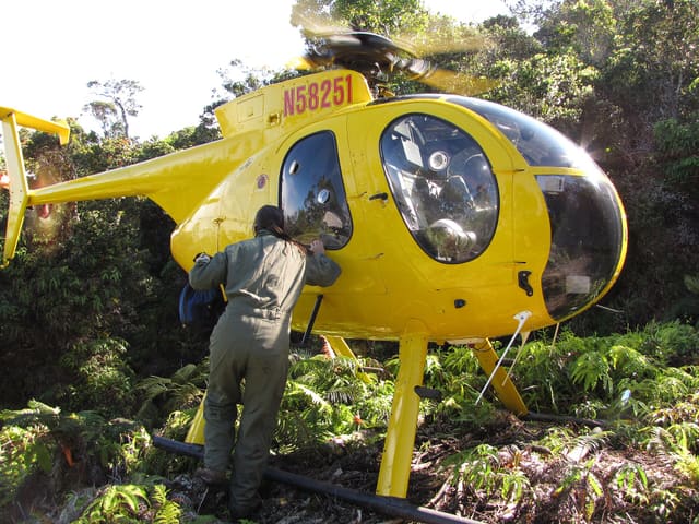 N58251 - Helicopter