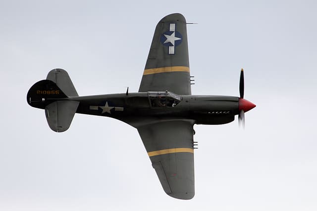  - Warbird