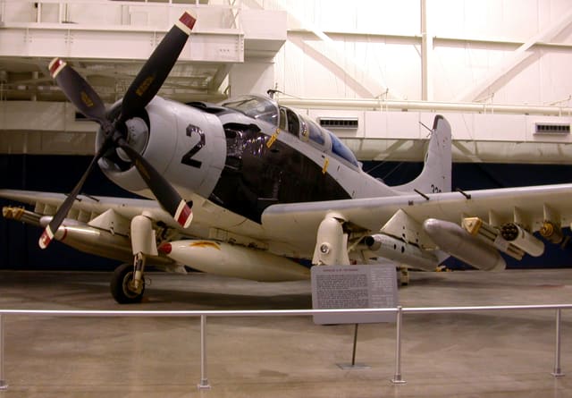  - Warbird