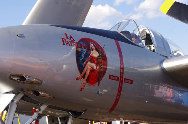  - Warbird