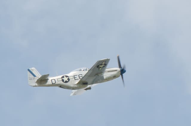 N1751D - Warbird