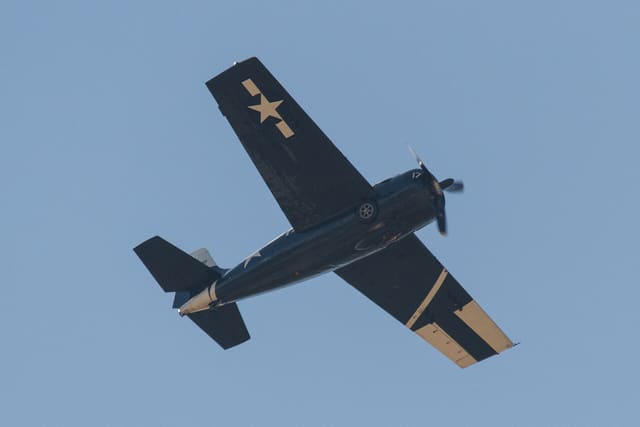  - Warbird