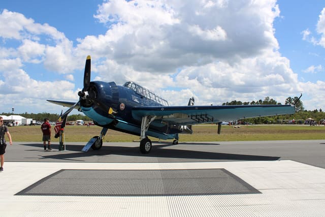 N85650 - Warbird