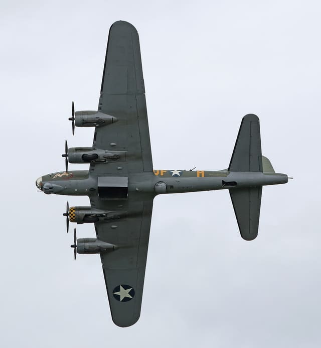  - Warbird
