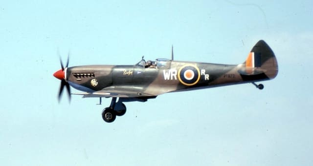  - Warbird