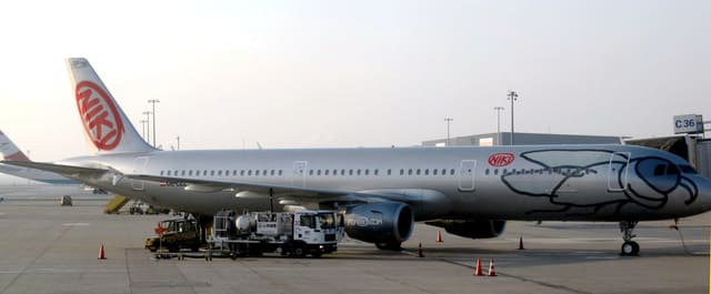 OE-LEZ - Twin-engine aircraft