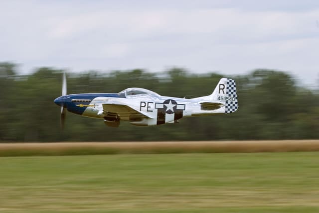  - Warbird