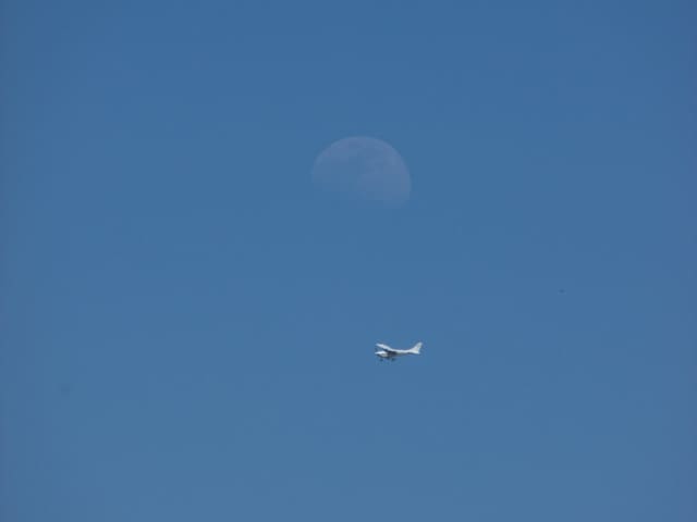 N9954T - Single-engine aircraft