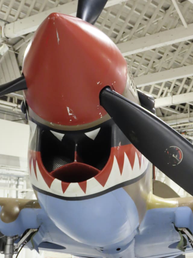  - Warbird