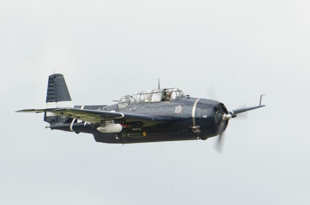 N81865 - Warbird