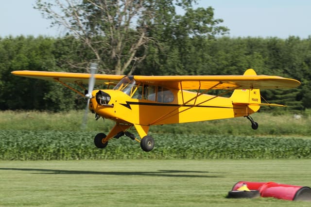 N98600 - Piper