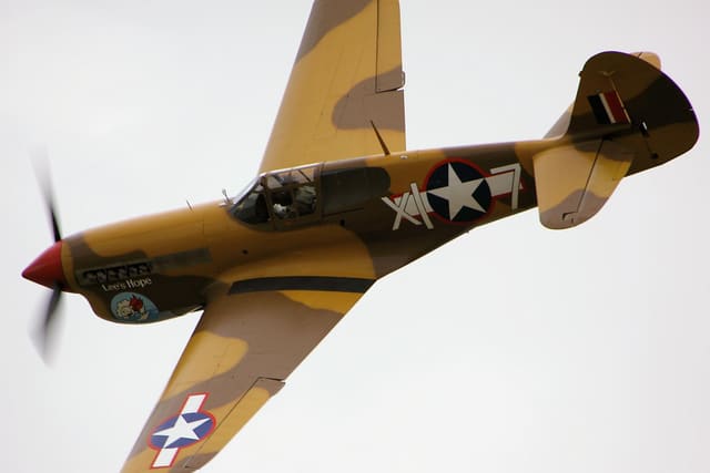  - Warbird