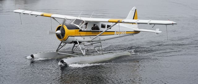 N72355 - De Havilland