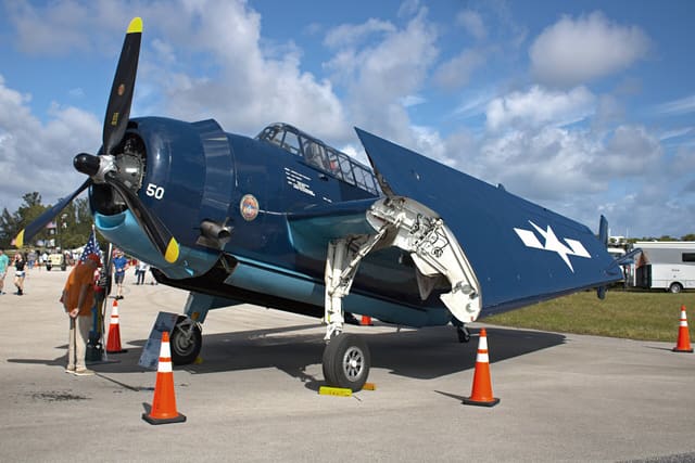 N85650 - Warbird