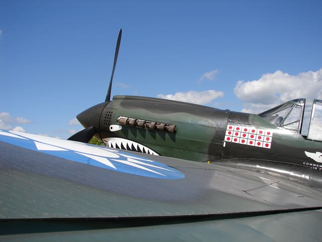 N1226N - Warbird