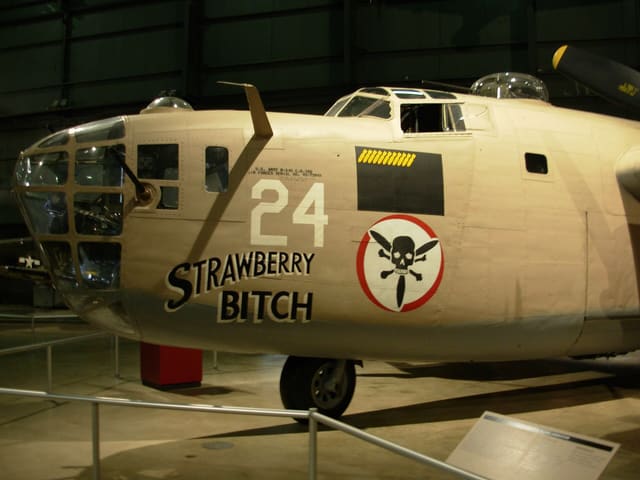  - Warbird
