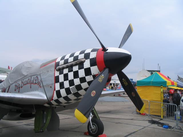  - Warbird
