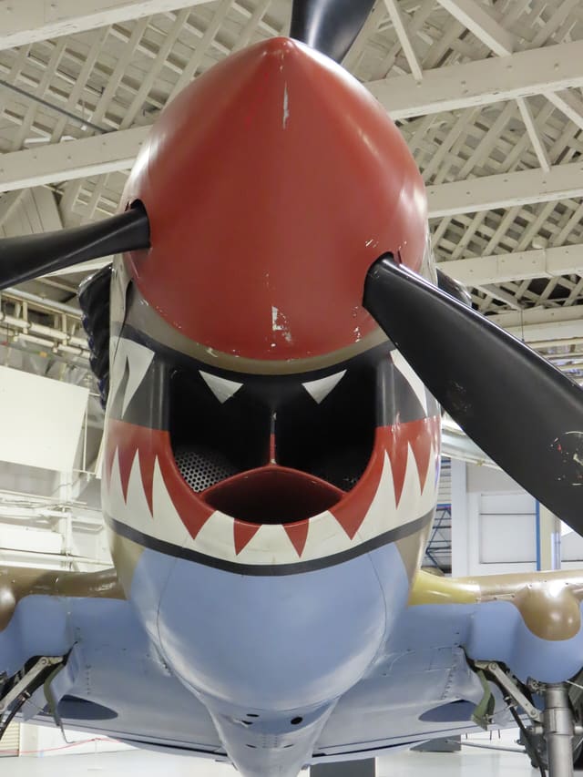  - Warbird
