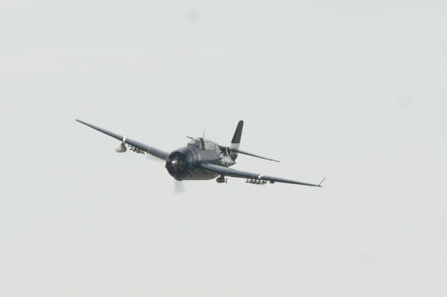 N81865 - Warbird