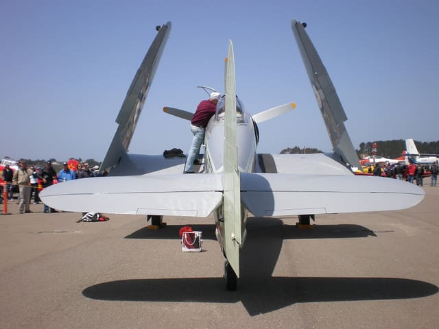  - Warbird