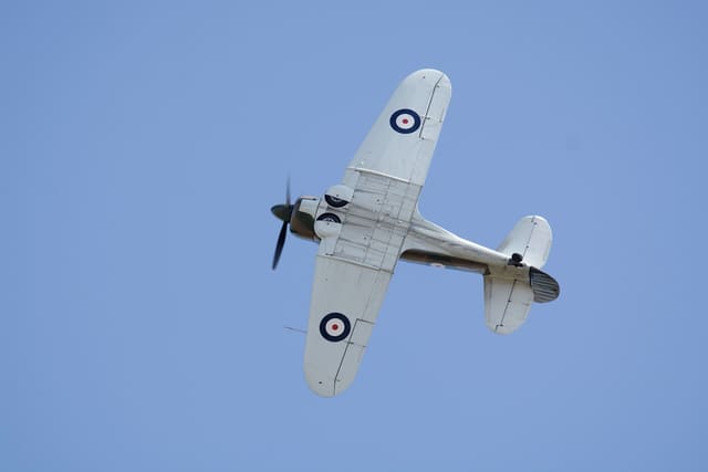  - Warbird