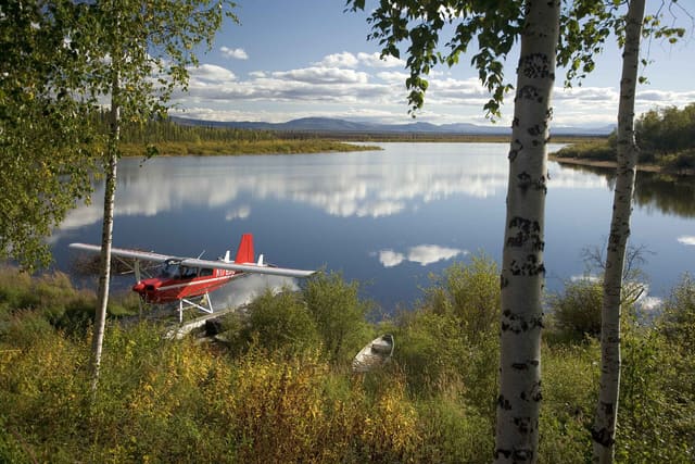 N178BC - Single-engine aircraft
