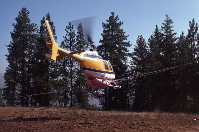 N2917W - Helicopter