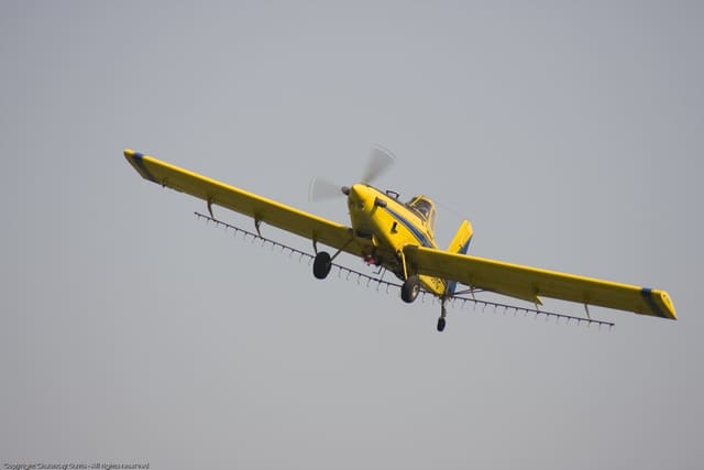 N1531G — Single-engine aircraft