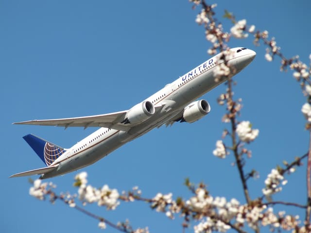 N17002 - Twin-engine aircraft