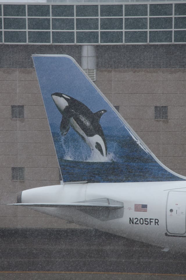 N205FR - Aircraft