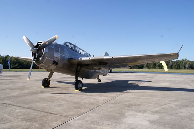  - Warbird